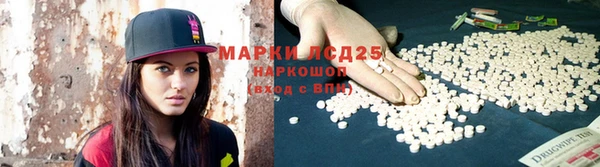 хмурый Алзамай