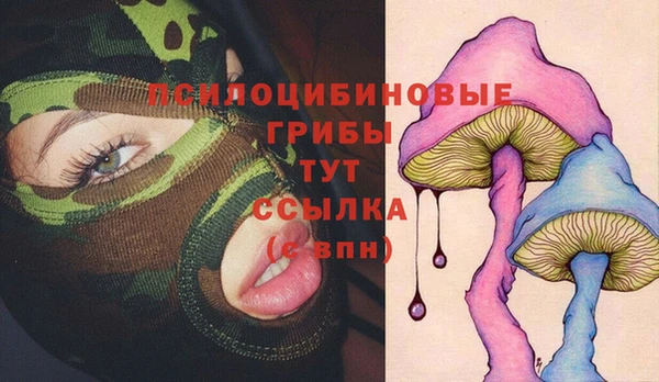хмурый Алзамай