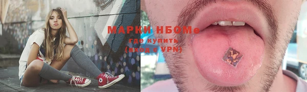 хмурый Алзамай